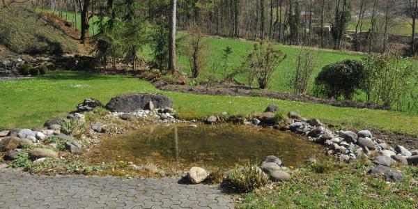 Gartenweiher
