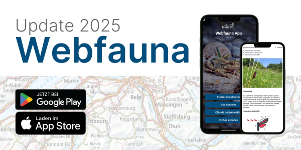 Illustration der aktualisierten Webfauna App